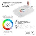 ЭРА наст.светильник NLED-460-14W-W-G белый с золотом (8/168)