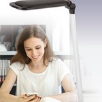 ЭРА наст.светильник NLED-460-14W-BK-S черный с серебром (8/168)