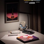 ЭРА наст.светильник NLED-458-6W-BK черный (16/96)