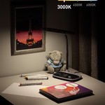 ЭРА наст.светильник NLED-458-6W-BK черный (16/96)