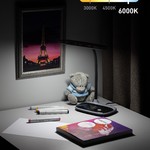 ЭРА наст.светильник NLED-458-6W-BK черный (16/96)