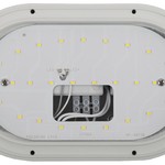 SPB-7-12-O ЭРА Cветильник светодиодный антивандальный IP65 12Вт 1140Лм 5000К 220х135 ОВАЛ (20/400)