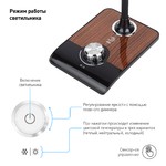 ЭРА наст.светильник NLED-473-10W-BK черный с деревом (6/72)