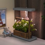 ЭРА Настольный светильник полного спектра FITO-20W-QLED-G (10/140)
