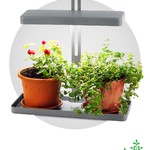ЭРА Настольный светильник полного спектра FITO-20W-QLED-G (10/140)