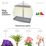ЭРА Настольный светильник полного спектра FITO-20W-QLED-G (10/140)