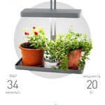 ЭРА Настольный светильник полного спектра FITO-20W-QLED-G (10/140)