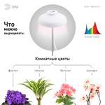 ЭРА Штыковой светильник полного спектра FITO-12W-FLED (20/800)