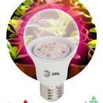 ЭРА Лампа красно-синего спектра FITO-10W-RB-E27-K (12/36/1728)