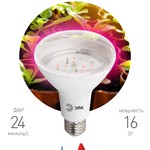 ЭРА Лампа красно-синего спектра FITO-16W-RB-E27-K (12/36/360)