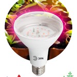 ЭРА Лампа красно-синего спектра FITO-16W-RB-E27-K (12/36/360)