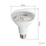 ЭРА Лампа красно-синего спектра FITO-16W-RB-E27-K (12/36/360)