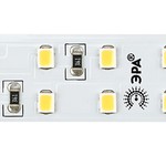 ЭРА Лента светодиодная LS2835-20-192-24-33-4000К-double-5m (25/50/300)