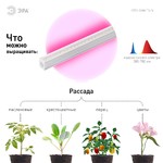 ЭРА Линейный светильник красно-синего спектраFITO-16W-Т5-N (30/840)