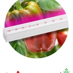 ЭРА Линейный светильник красно-синего спектраFITO-16W-Т5-N (30/840)