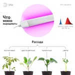 ЭРА Линейный светильник красно-синего спектра FITO-36W-RB-N (10/240)