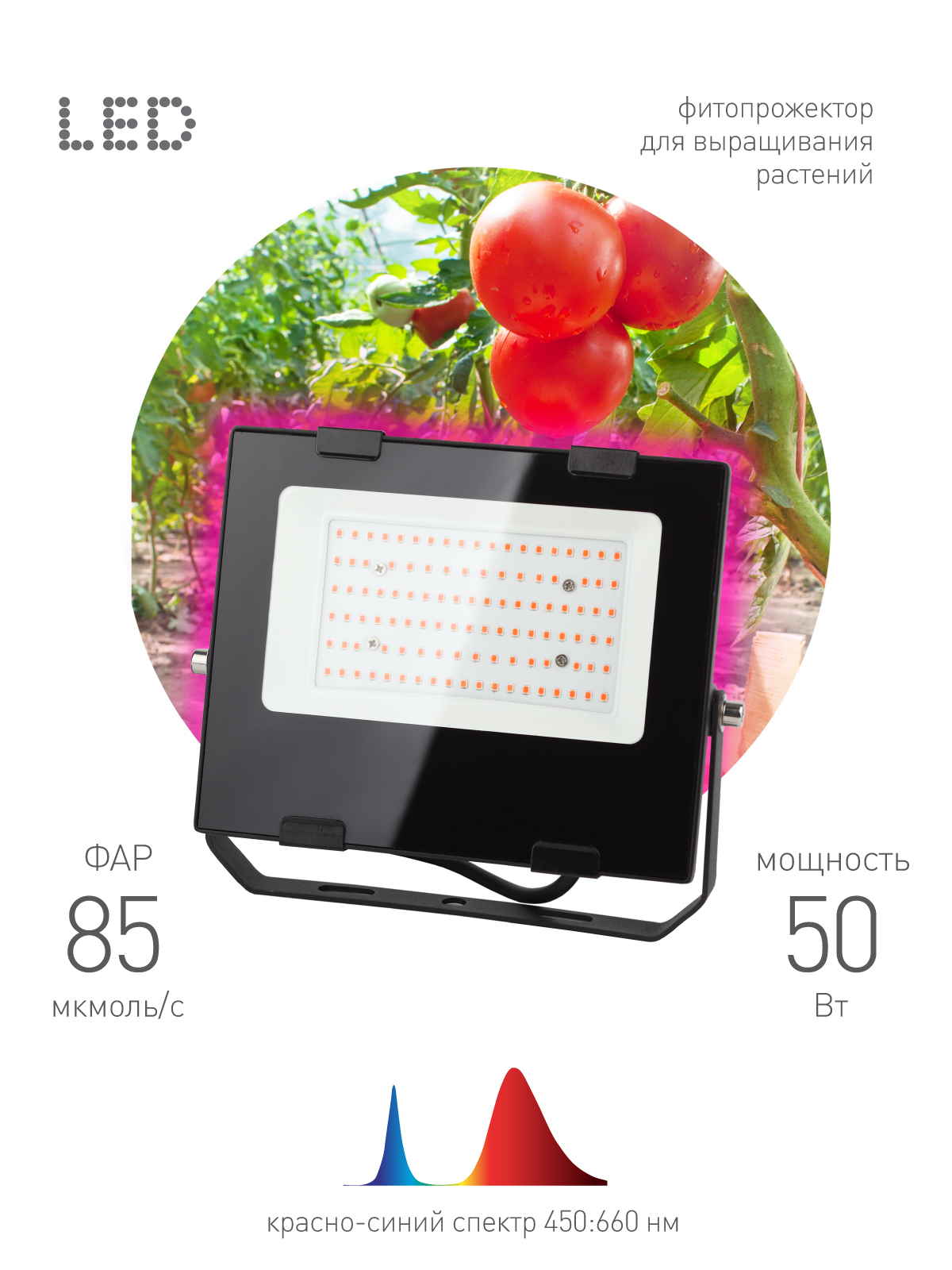 ЭРА Прожектор красно-синего спектра FITO-50W-RB-LED (10/300)