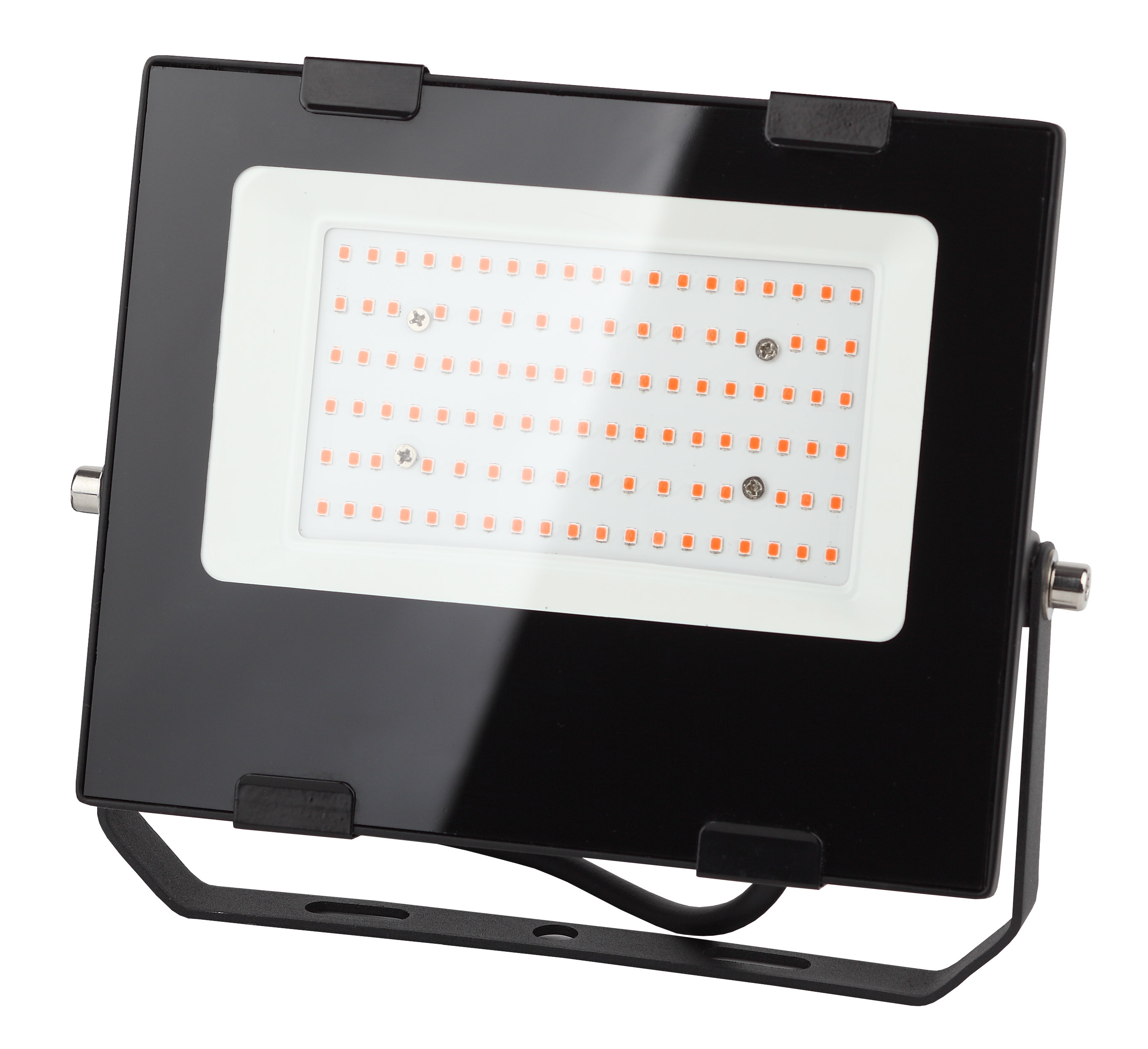 ЭРА Прожектор красно-синего спектра FITO-50W-RB-LED (10/300)