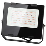 ЭРА Прожектор красно-синего спектра FITO-50W-RB-LED (10/300)