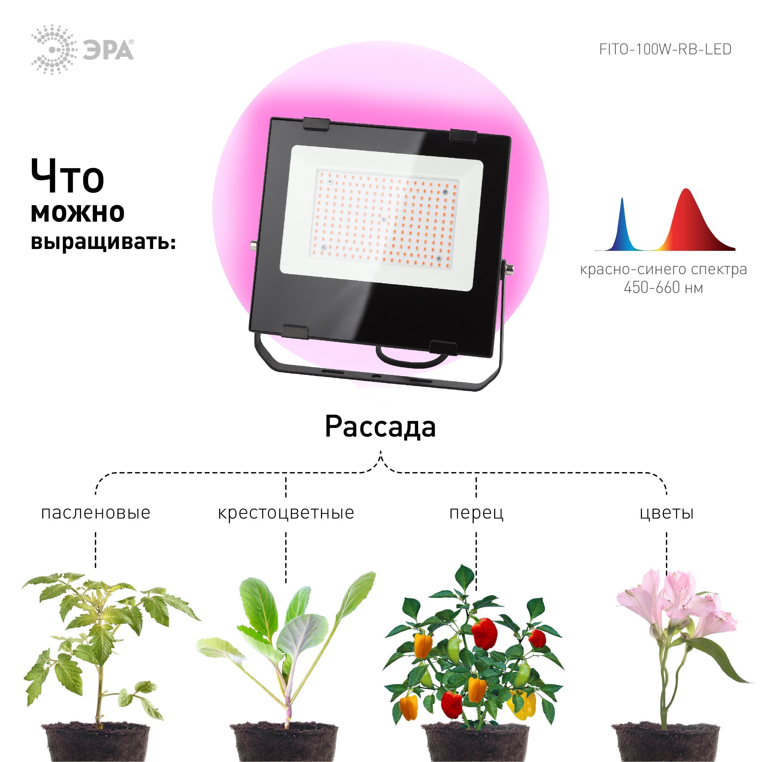 ЭРА Прожектор красно-синего спектра FITO-100W-RB-LED (10/160)