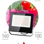 ЭРА Прожектор красно-синего спектра FITO-100W-RB-LED (10/160)