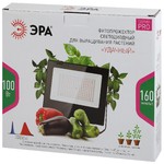 ЭРА Прожектор красно-синего спектра FITO-100W-RB-LED (10/160)