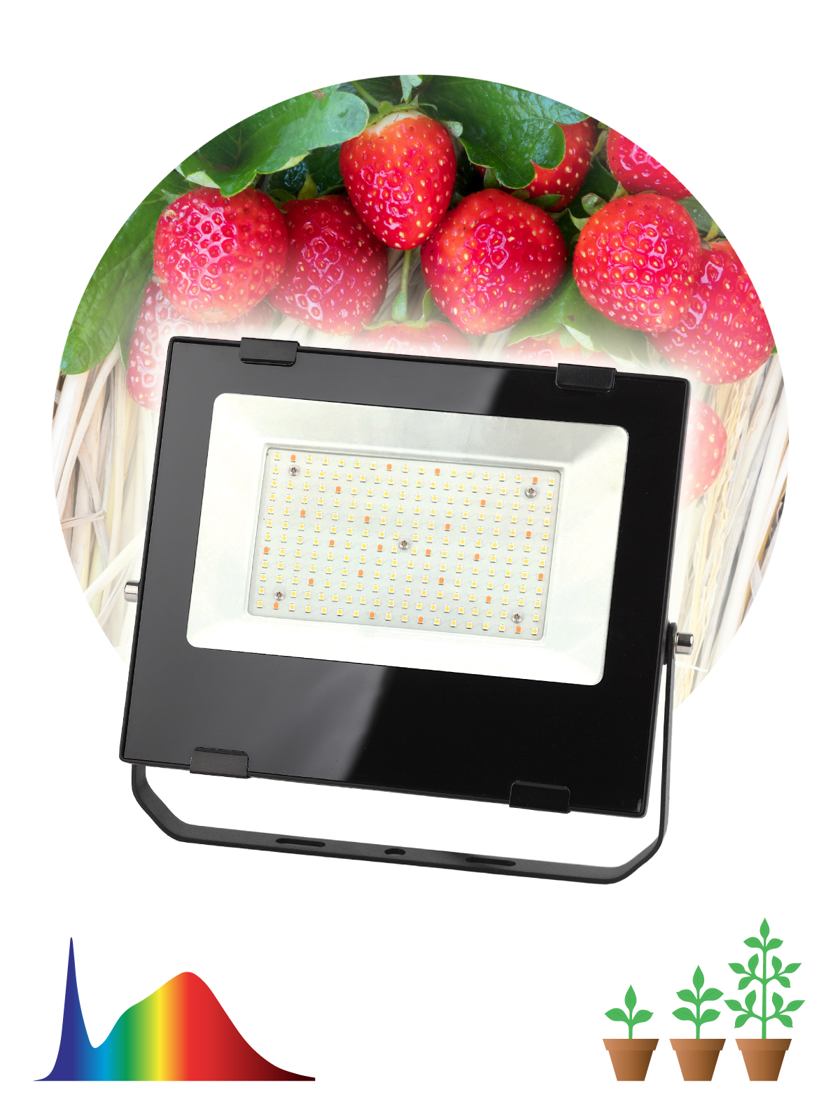 FITO-100W-Ra90-LED ЭРА ФИТО прожектор для  цветения и плодоношения (10/240)