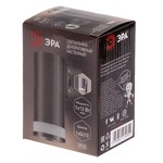 WL31 GU10 SN Подсветка ЭРА Декоративная подсветка GU10 (40/960)
