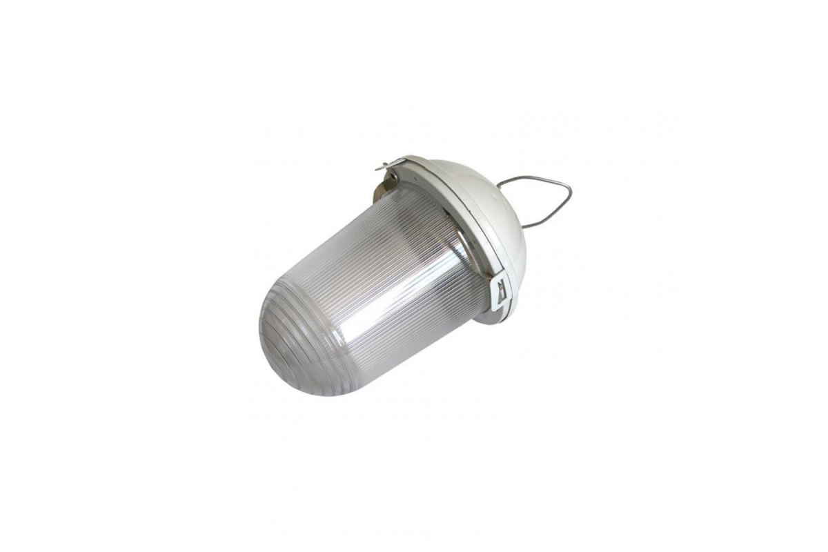 Светильник ЭРА  НСП 02-100-001 без решетки Желудь сталь / стекло IP54 E27 max 100Вт 170х260 белый