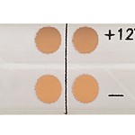 ЭРА Лента светодиодная LS2835-60LED-IP65-WW-eco-5m (80/1920)