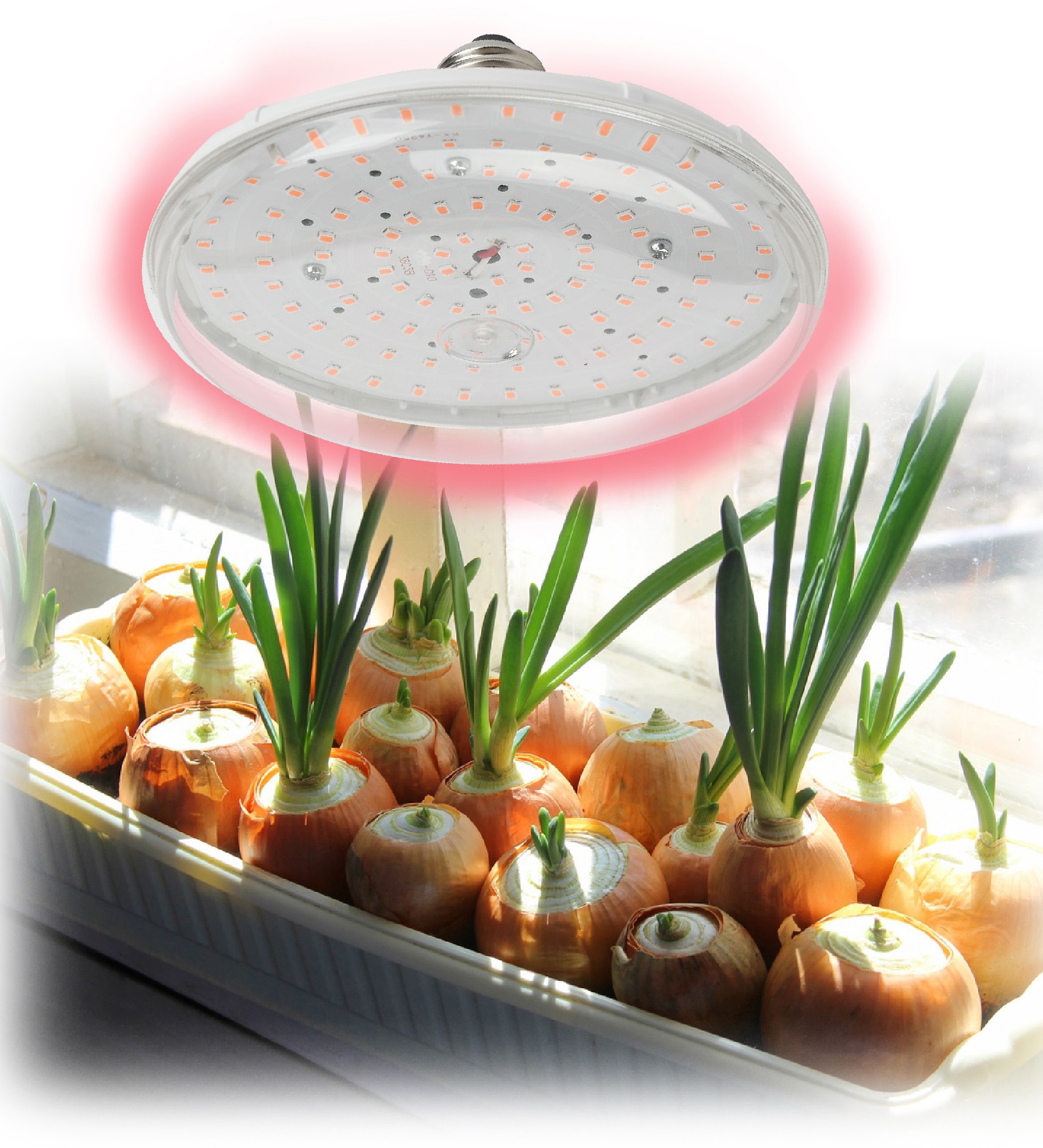 ЭРА FITO-18W-RB-E27 (30/840)