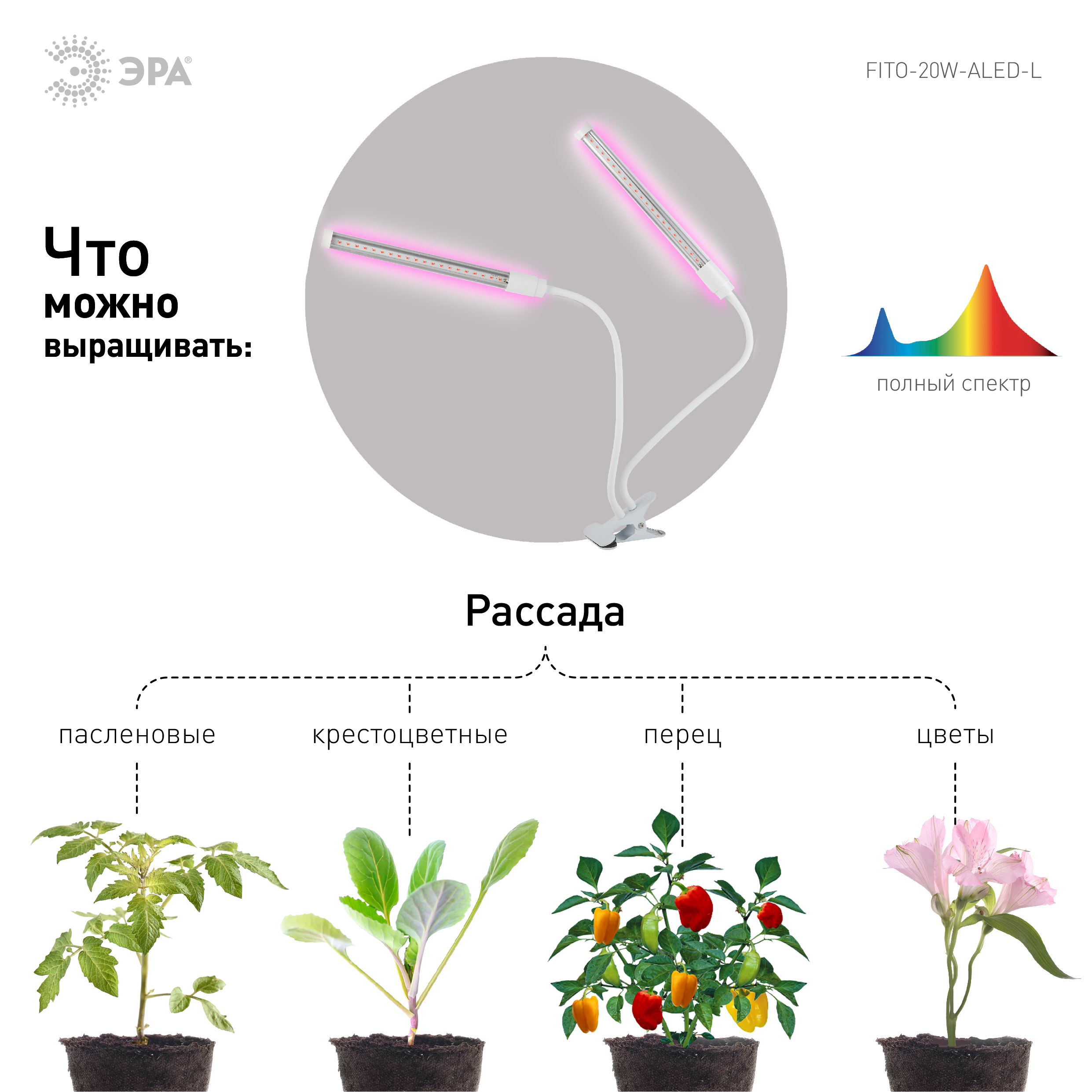 ЭРА FITO-20W-АLED-L (12/144)