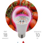 Фитолампа для растений светодиодная ЭРА  FITO-10W-RB-E27 красно-синего спектра