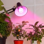 Фитолампа для растений светодиодная ЭРА  FITO-10W-RB-E27 красно-синего спектра