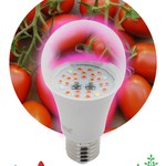 Фитолампа для растений светодиодная ЭРА  FITO-10W-RB-E27 красно-синего спектра
