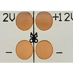 ЭРА Лента светодиодная LS2835-4,8-60-12-6500К-IP65-2year-5m (80/2400)