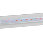 ЭРА Лампа красно-синего спектра FITO-9W-RB-Т8-G13-NL (25/1050)