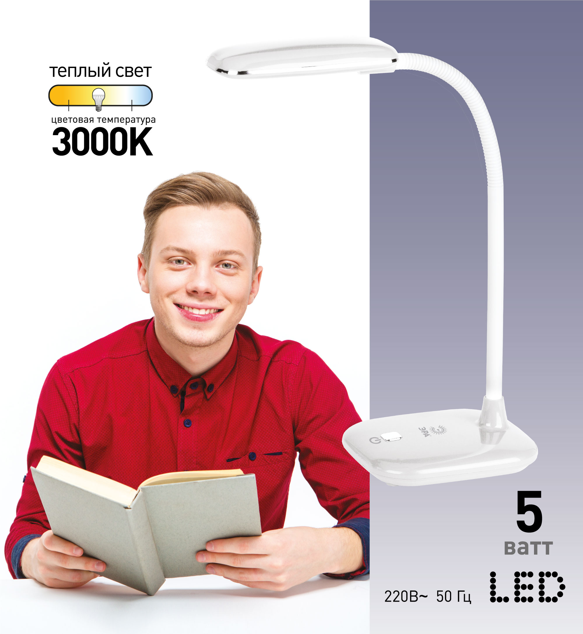 ЭРА наст.светильник NLED-450-5W-GY серый (12/72)