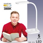 ЭРА наст.светильник NLED-450-5W-GY серый (12/72)